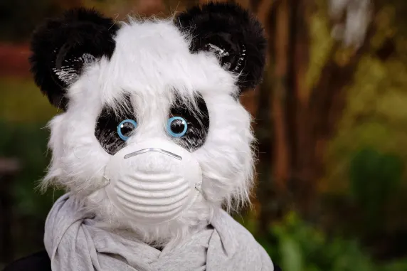 BigAzart Casino Soporte